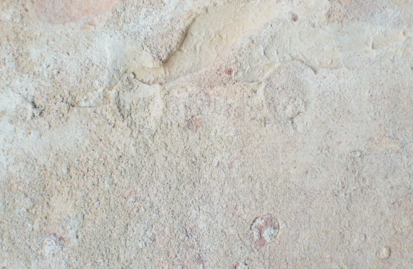 A close up of a white surface with a grainy texture.