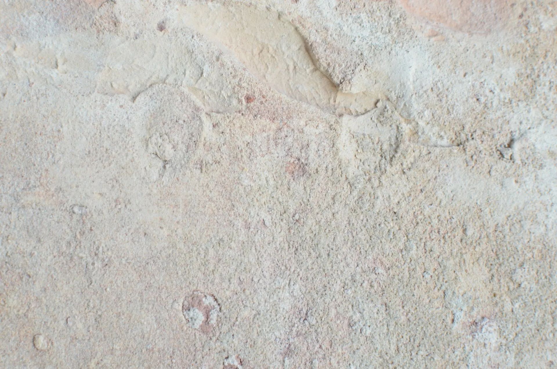 A close up of a pile of sand on a beach.