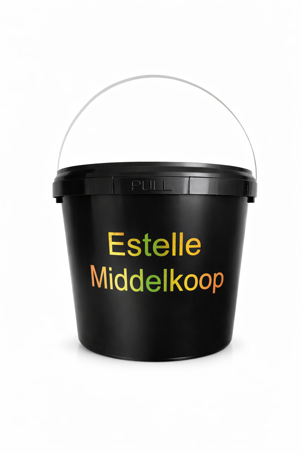 Zwarte kuipstoel met wit Lexus-logo en de tekst