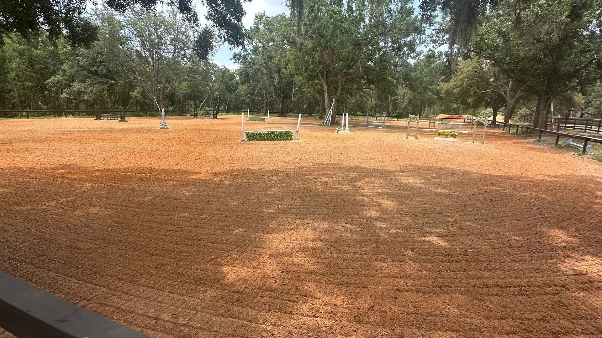 Brown field with scattered objects surrounded by trees, possibly a park setting.