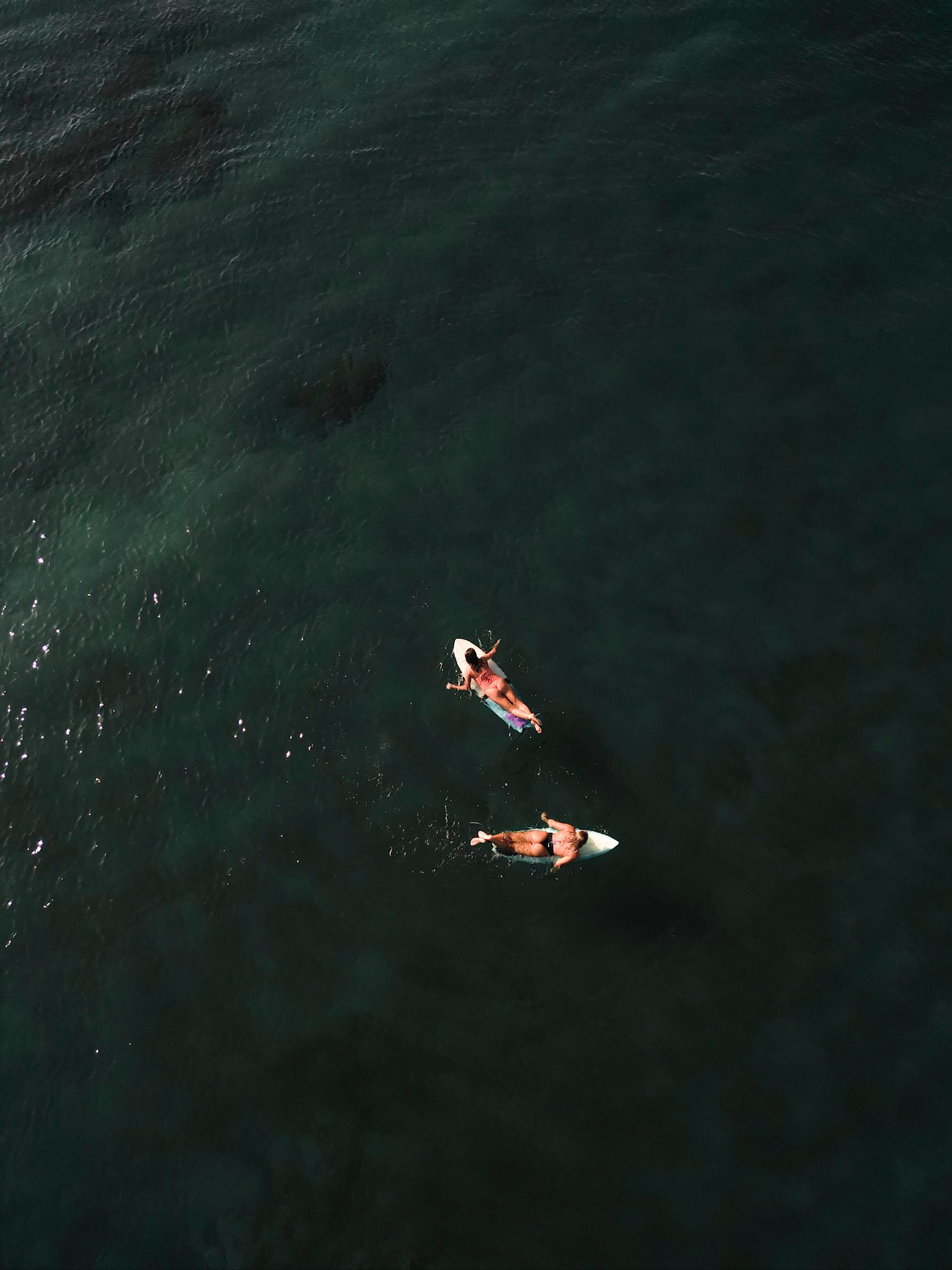 Two swimmers floating in dark green water, viewed from above