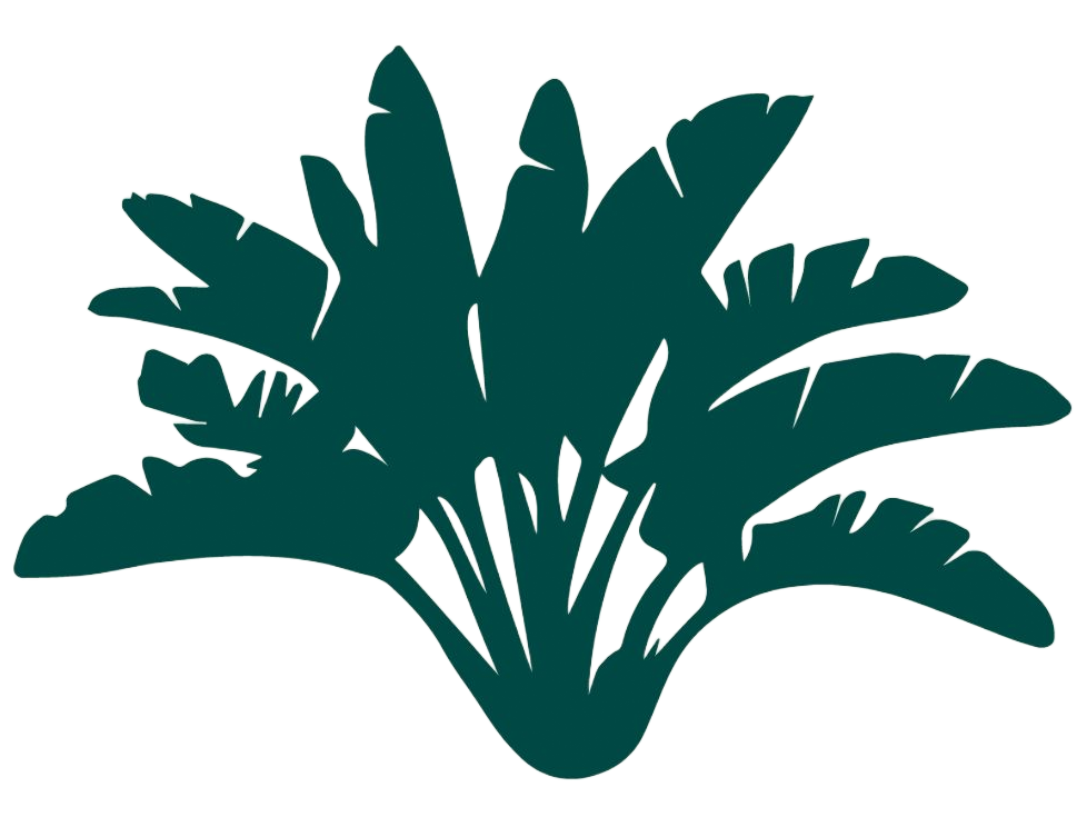 Hamacas hotel logo