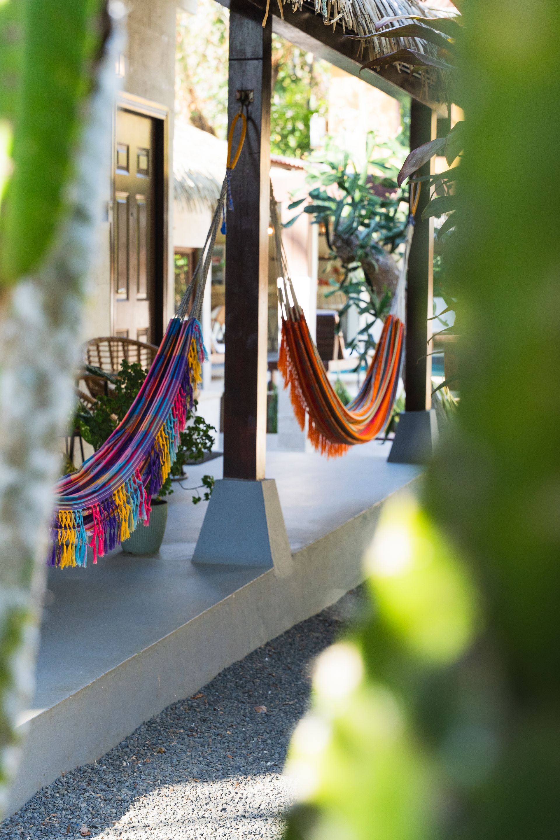 Colorful hammocks hanging in a shaded outdoor walkway with greenery in the foreground