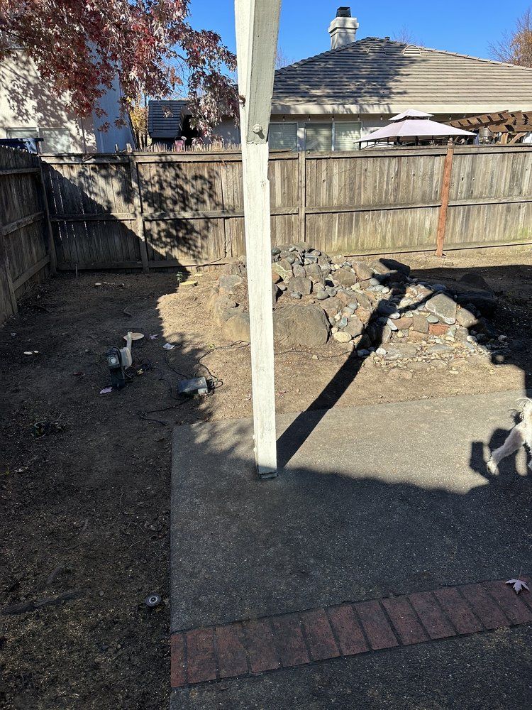 A dog is standing in a backyard next to a wooden fence.