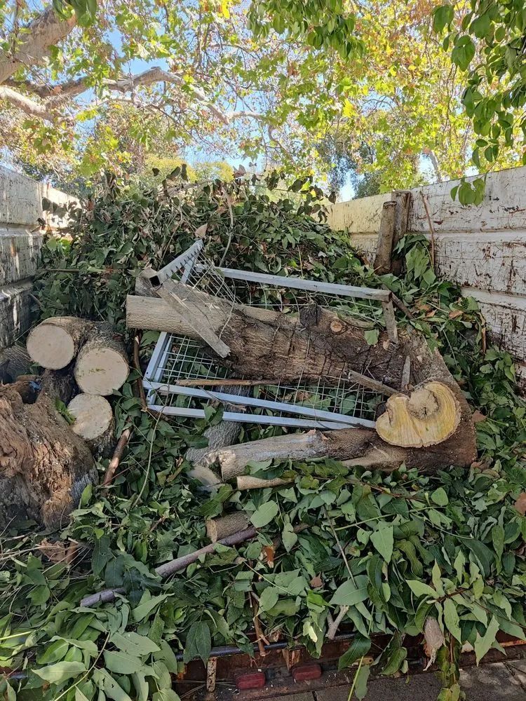 Pile of tree branches, logs, and leaves against a white brick wall and fence. An old metal frame rests in the debris.