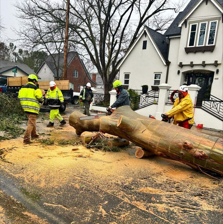 A group of men are cutting down a tree in front of a house