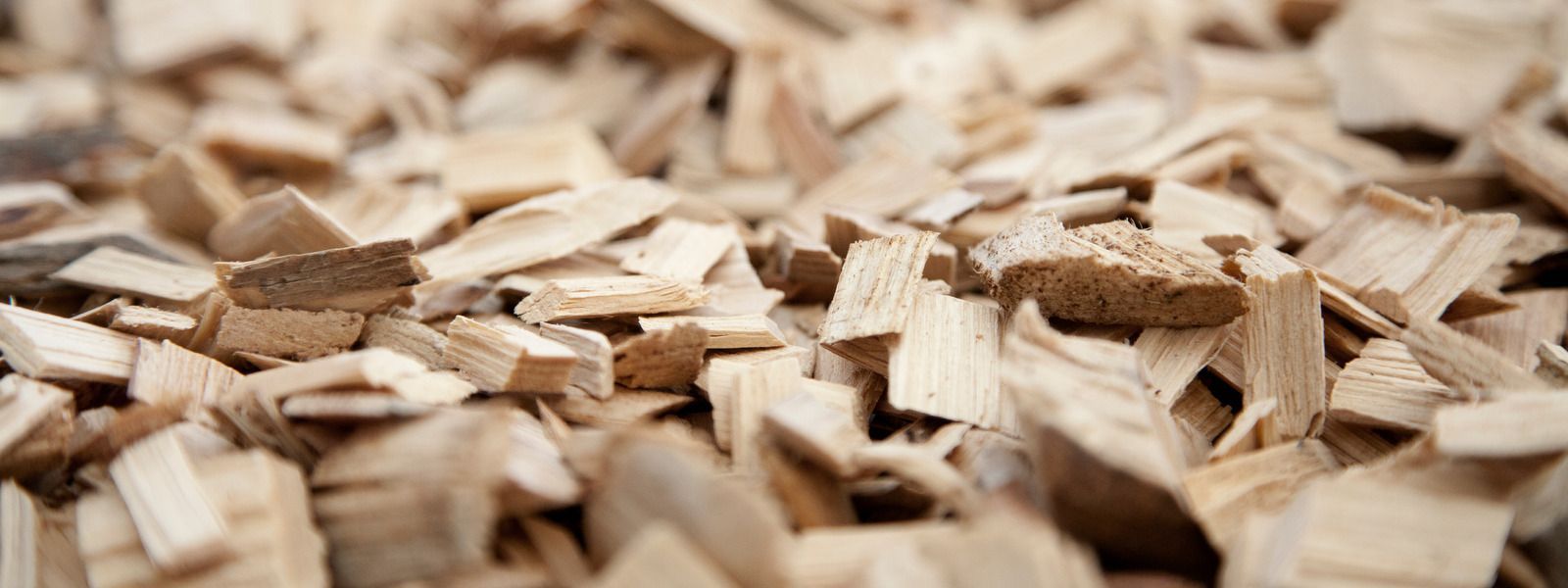 A close up of a pile of wood chips.