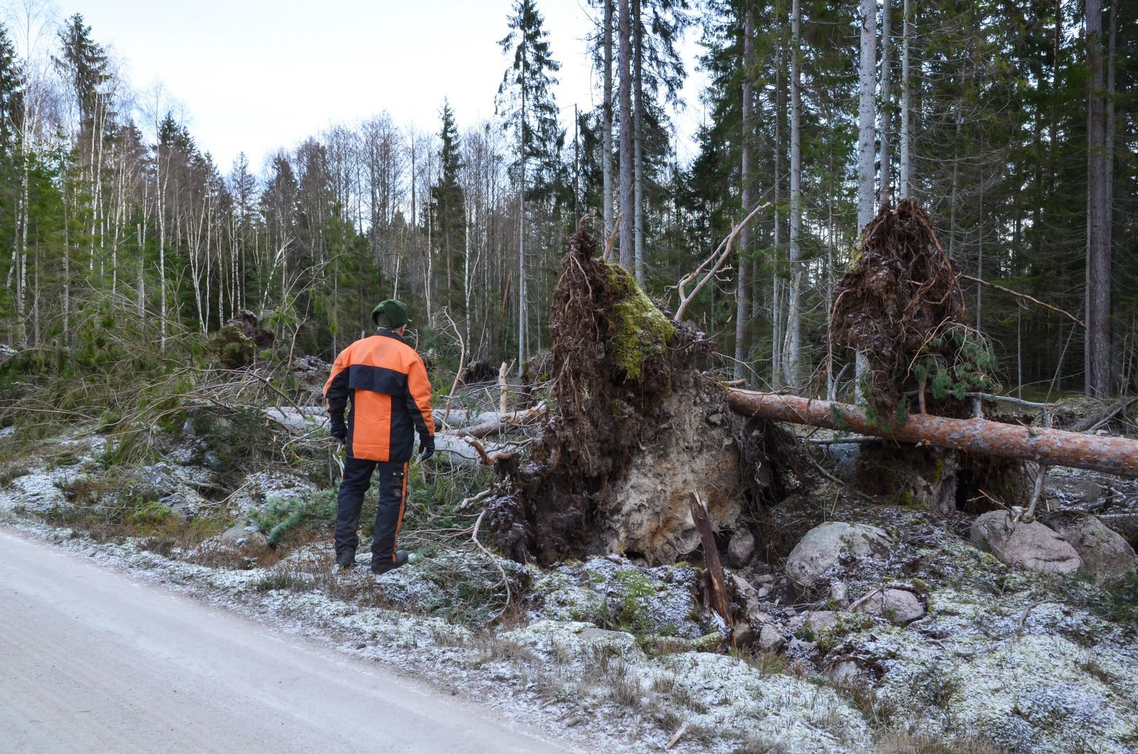 A man in an orange jacket is standing next to a fallen tree on the side of a road.