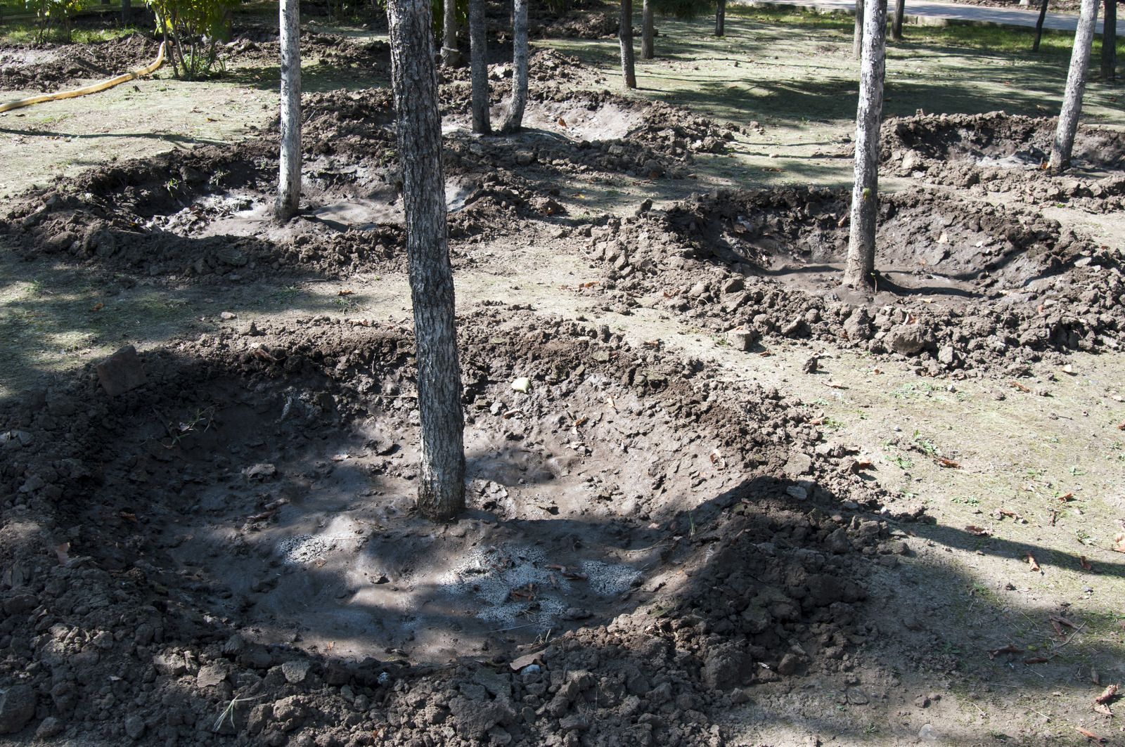 A muddy field with trees in it and a lot of dirt.