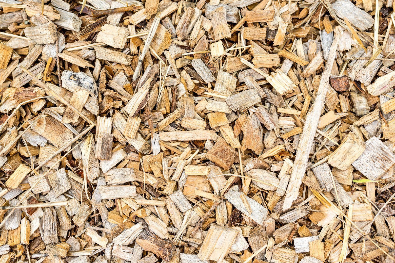 A pile of wood chips is sitting on the ground.
