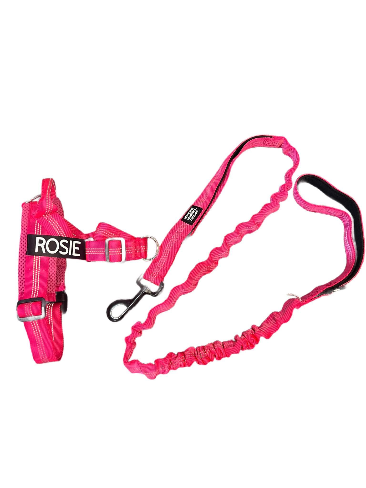 Pink dog harness and leash set with the name