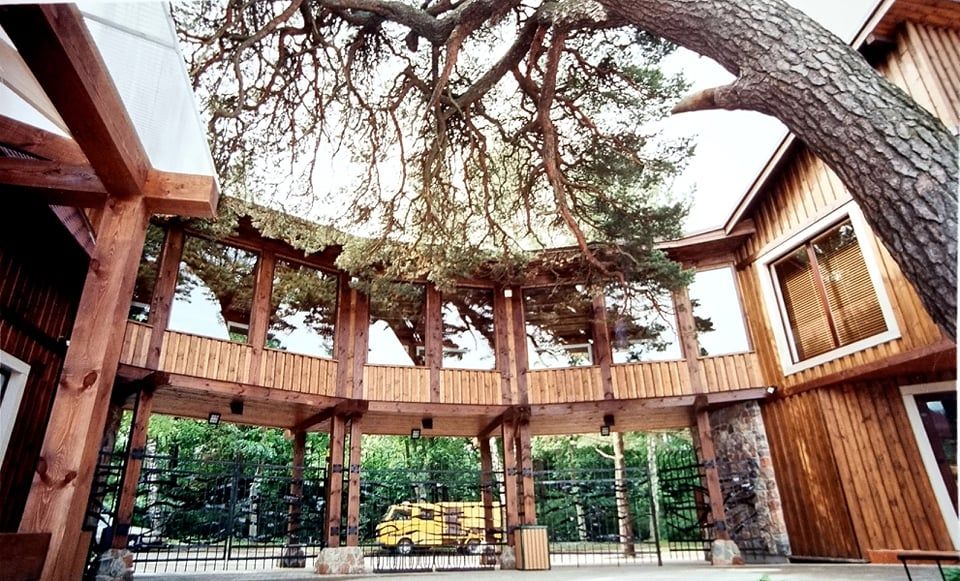 Visuomeninės paskirties pastatų statyba