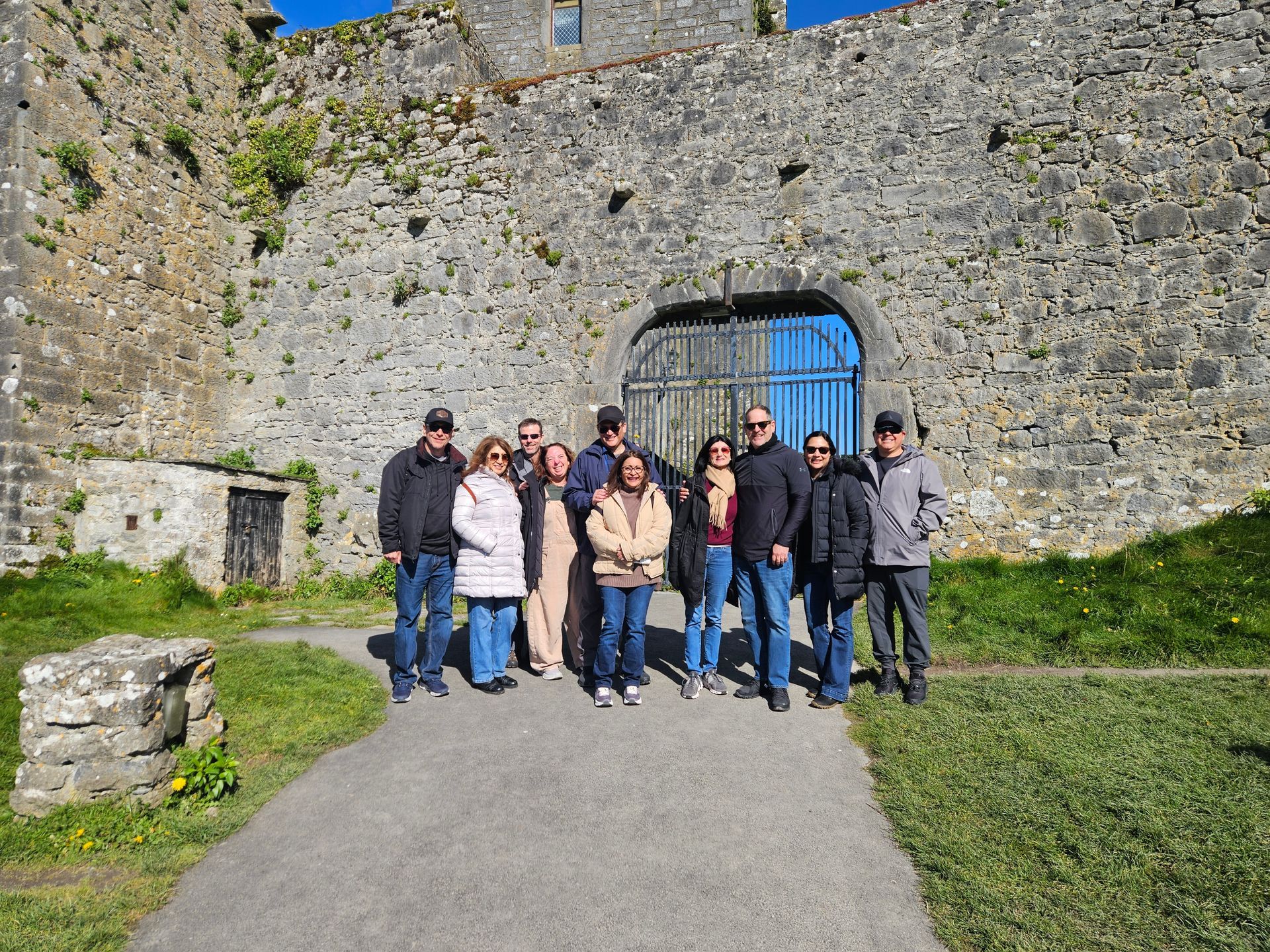 mozbus limited gallery