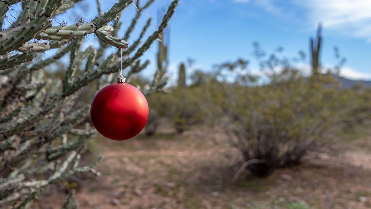 Red Christmas ornament on a cactus in a desert landscape.