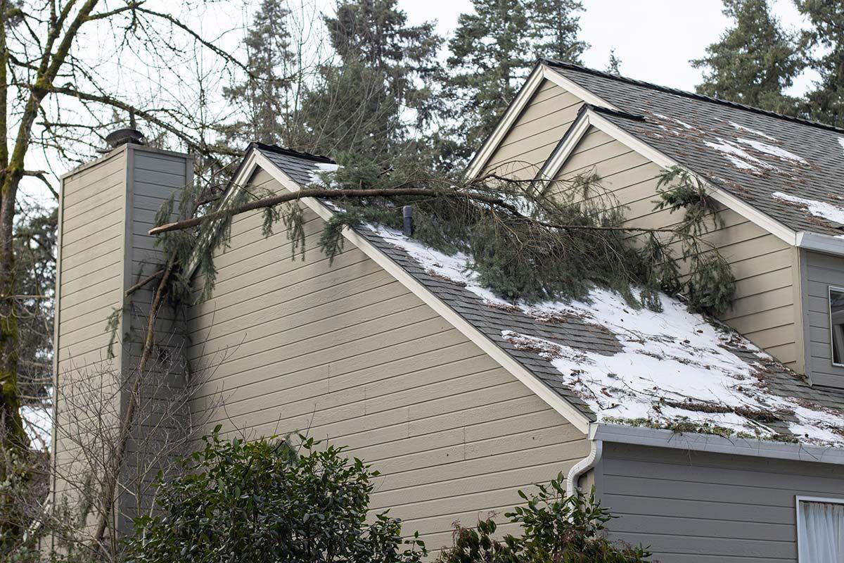 Tree branch on a snow-covered roof of a beige house.