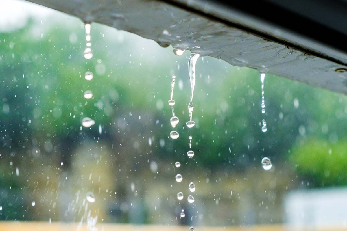 Raindrops falling from a roof in front of blurred green foliage.