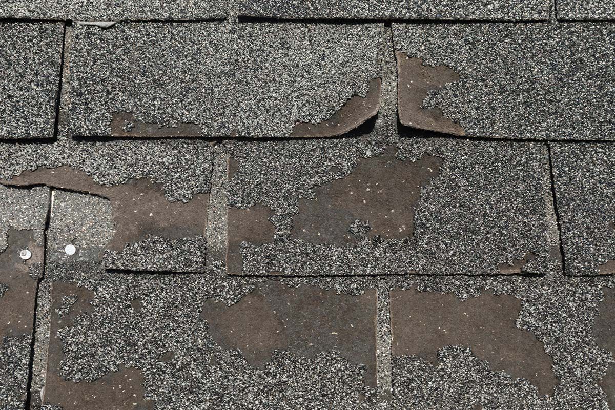 Damaged asphalt roof shingles, showing significant granule loss and curling edges.