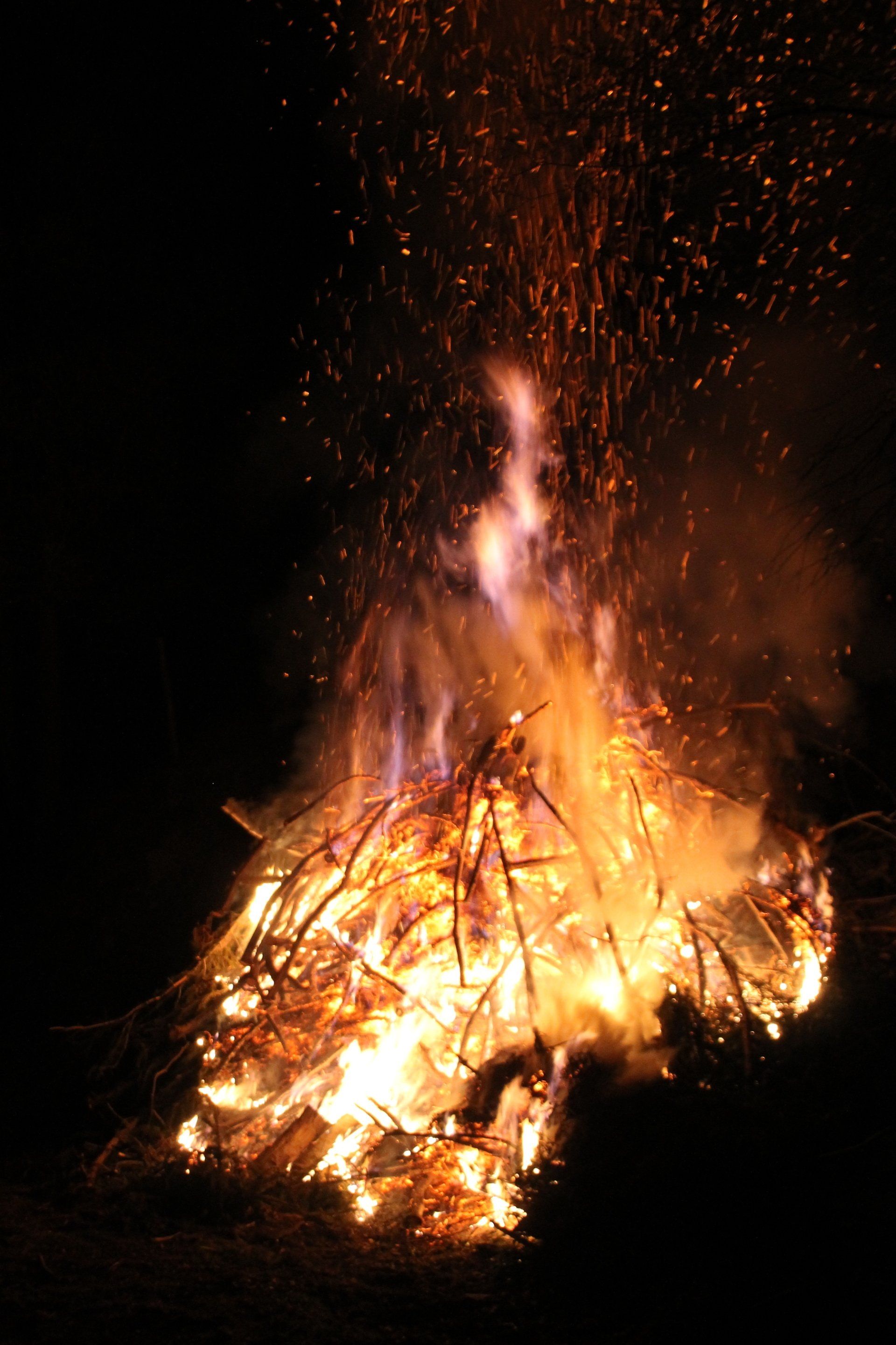 barbecue evening & bonfire