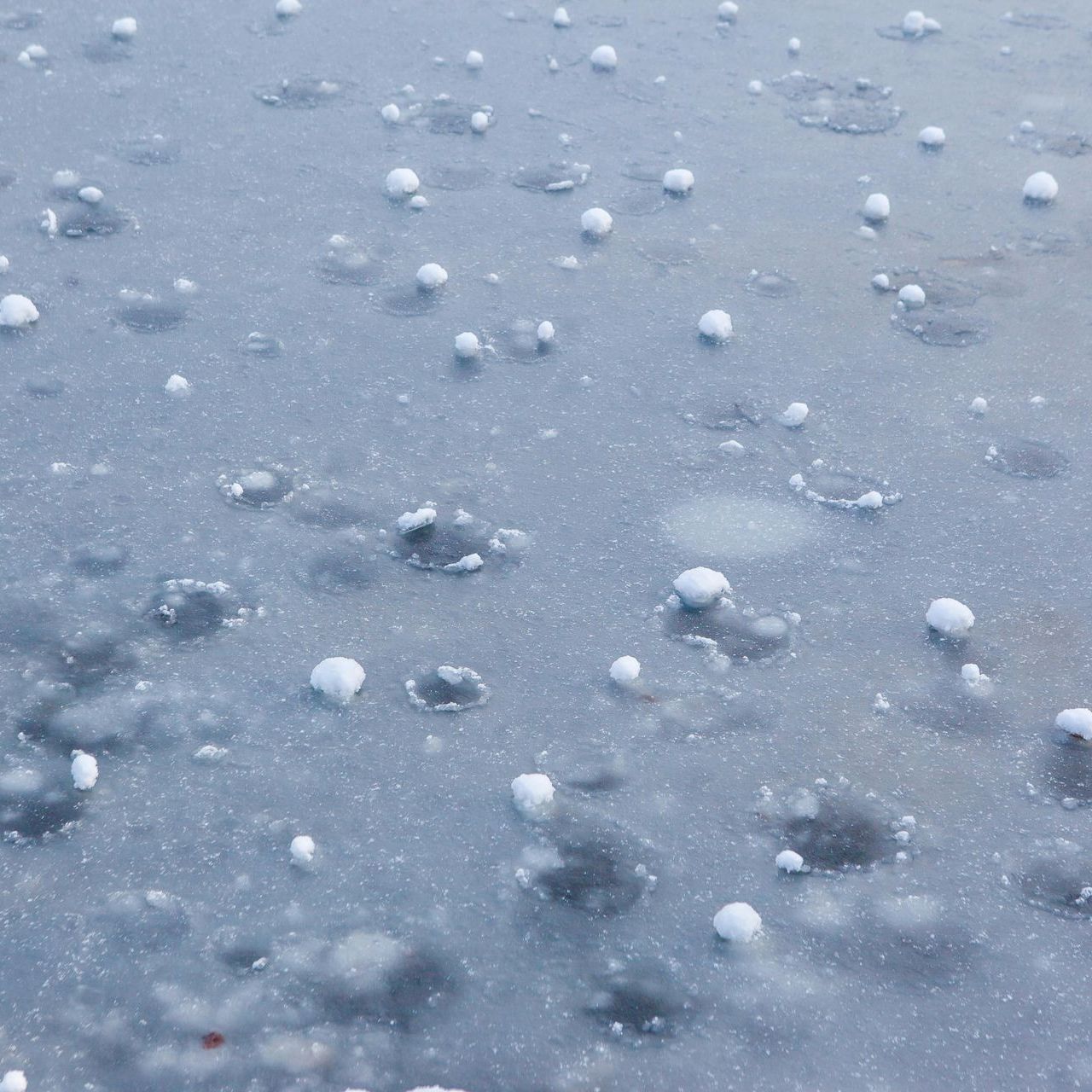 Snow-covered ice surface with small, white snowballs and melted rings.