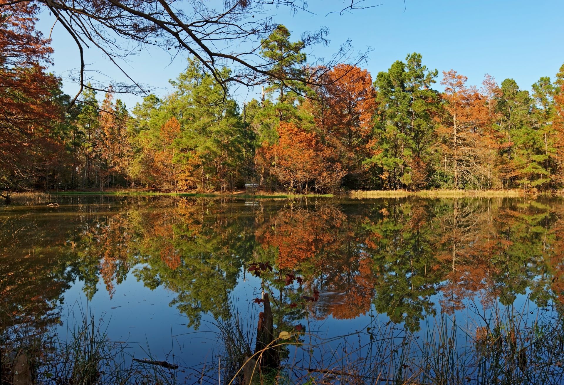 A lake surrounded by trees with autumn leaves reflected in the water