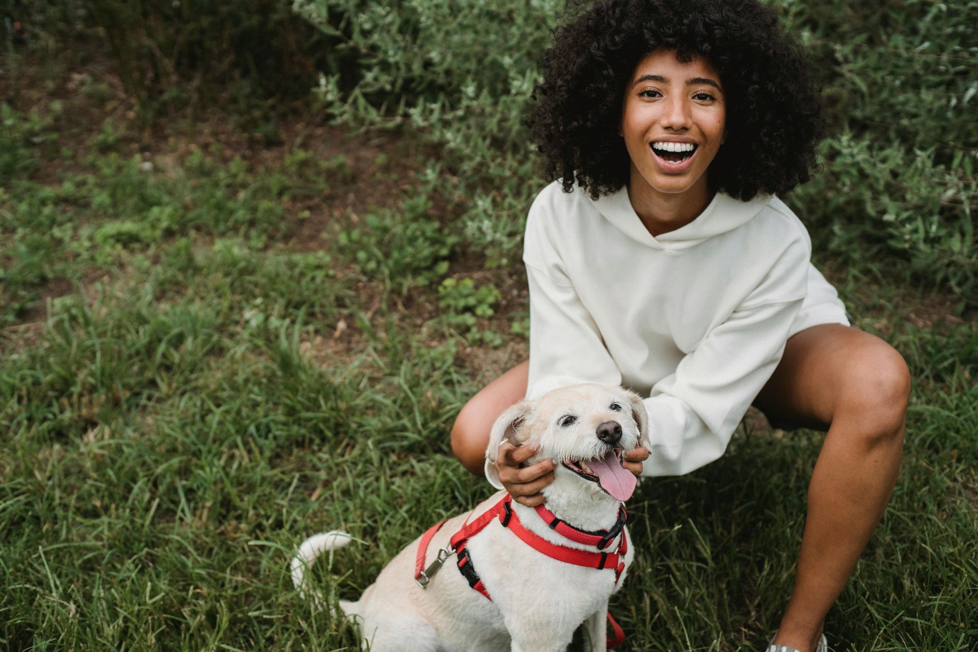 A woman is kneeling down with a dog in the grass.