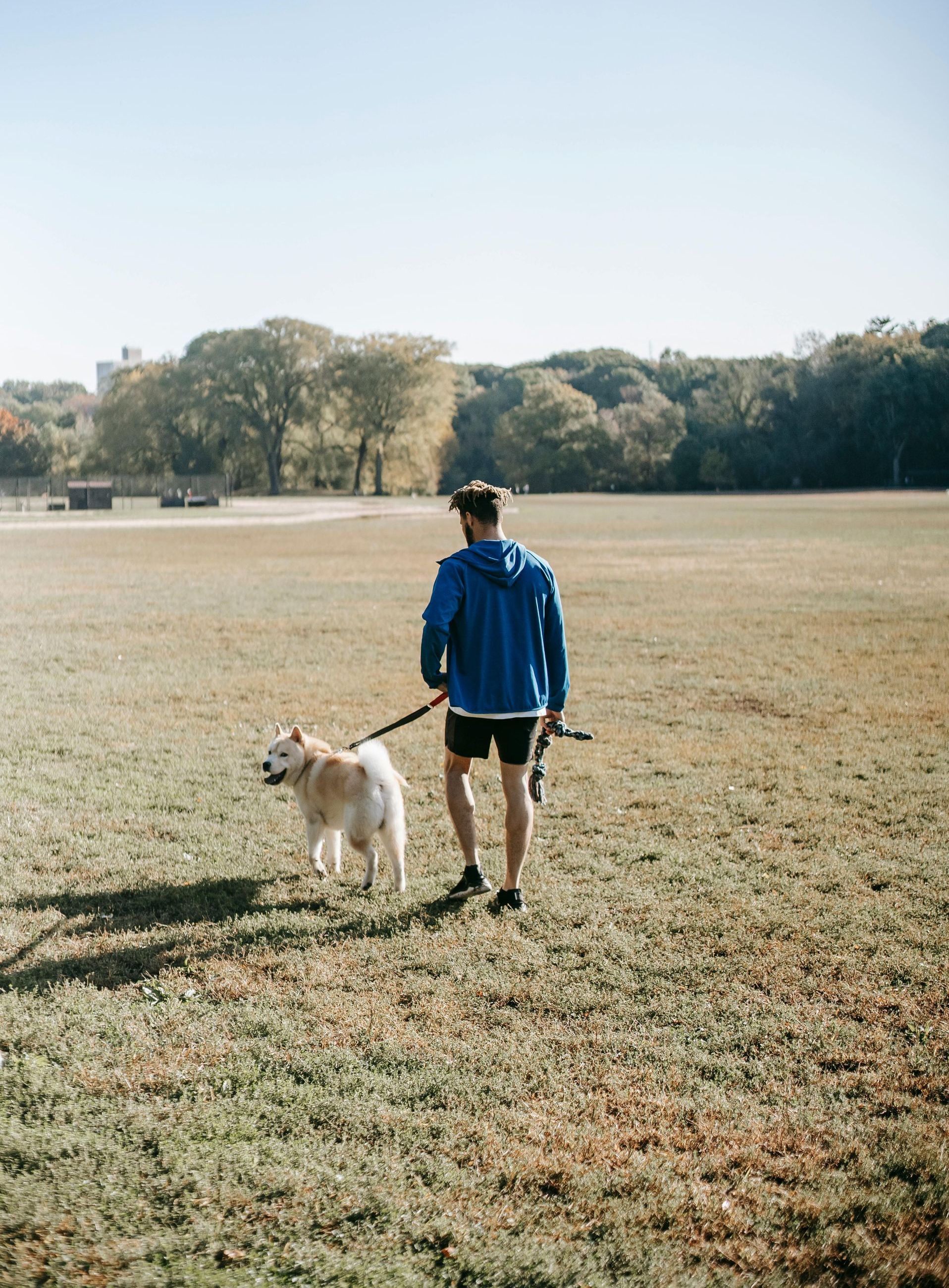 A man is walking a dog on a leash in a field.
