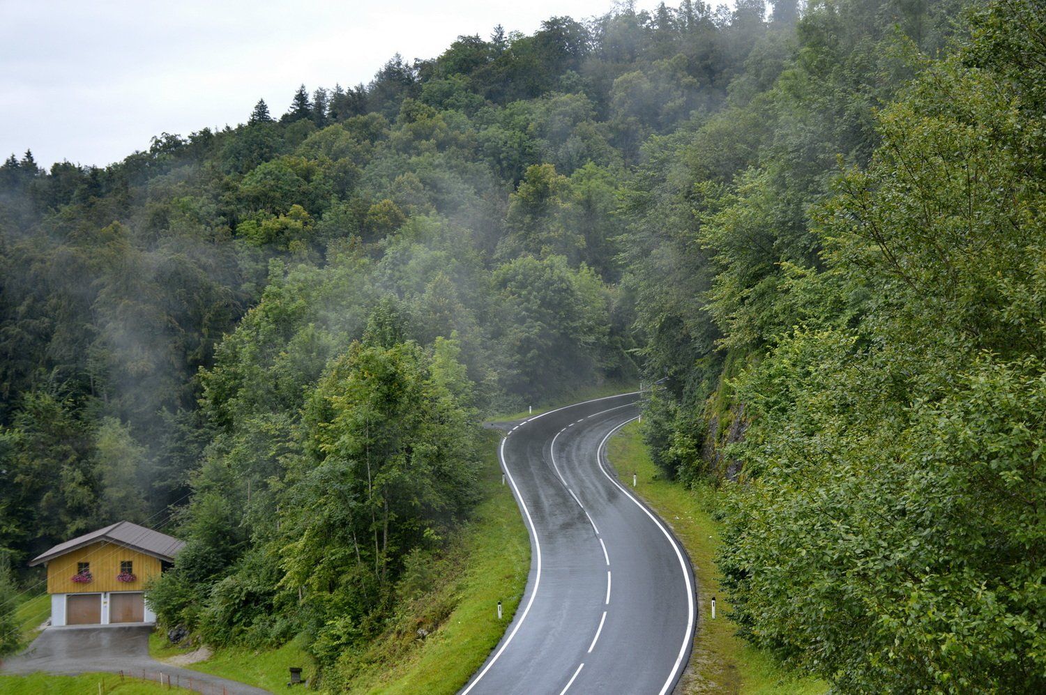כביש מתפתל דרך יער ירוק ושופע, עם בית קטן משמאל וערפל בין העצים.