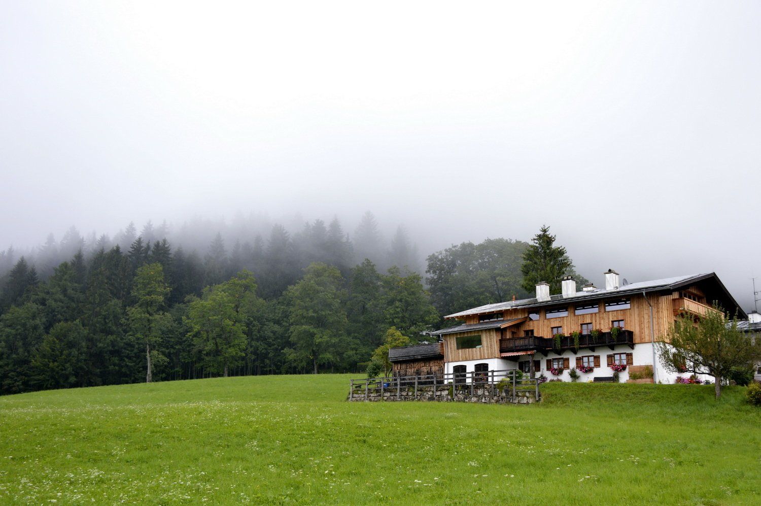 שדה ירוק ושופע עם בית עץ ויער מכוסה ערפל.