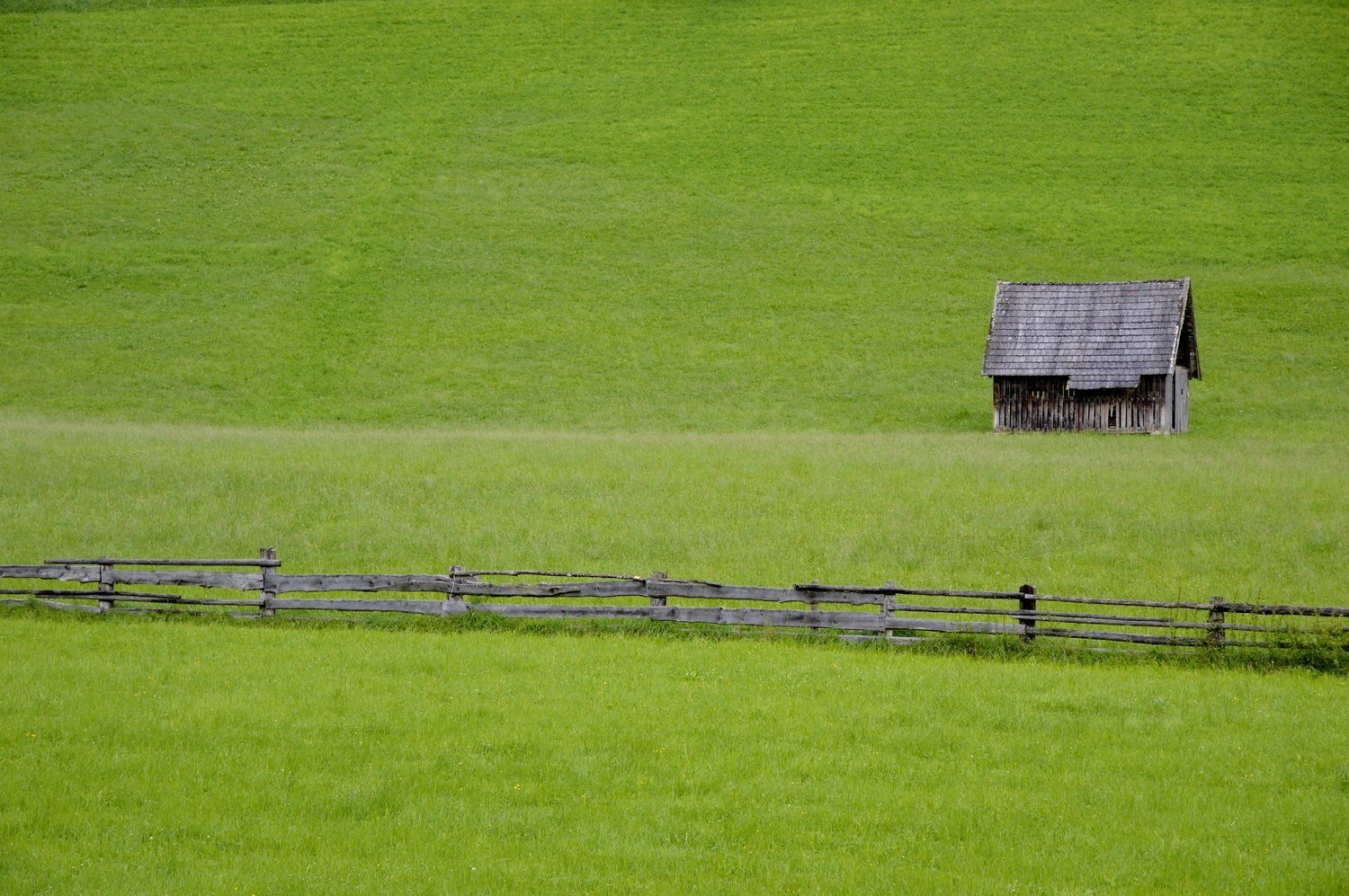 צריף עץ יושב בשדה ירוק עצום, גדר בלויה בחזית.