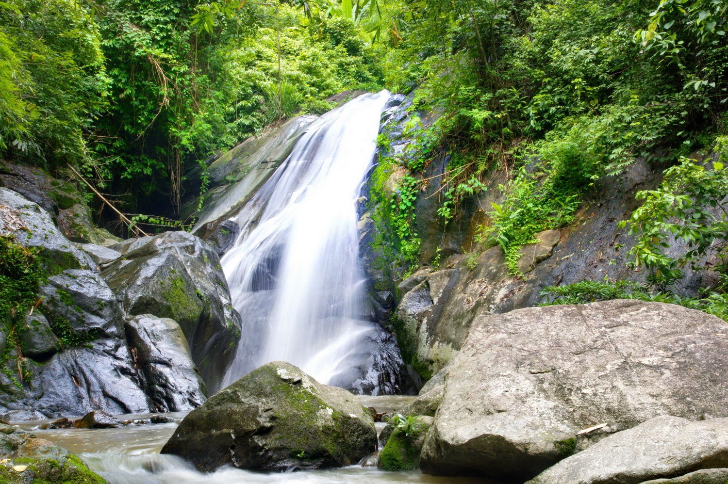 מפל מים שוצף מעל סלעים, מוקף בעלווה ירוקה, ויוצר סביבה טבעית שלווה.