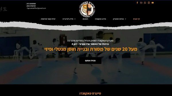 טייגרס טאקוונדו - מודיעין