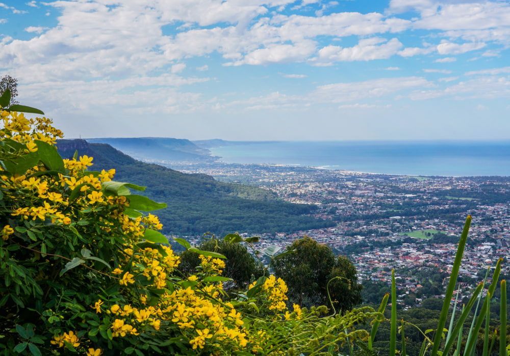 A View of A City from A Hill with Yellow Flowers in The Foreground — Illawarra Resurfacing Pty Ltd in Balgownie, NSW
