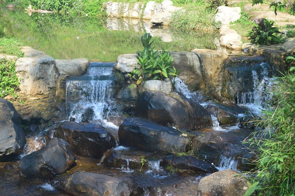 A Small Waterfall Is Surrounded by Rocks and Plants — Illawarra Resurfacing Pty Ltd in Fairy Meadow, NSW