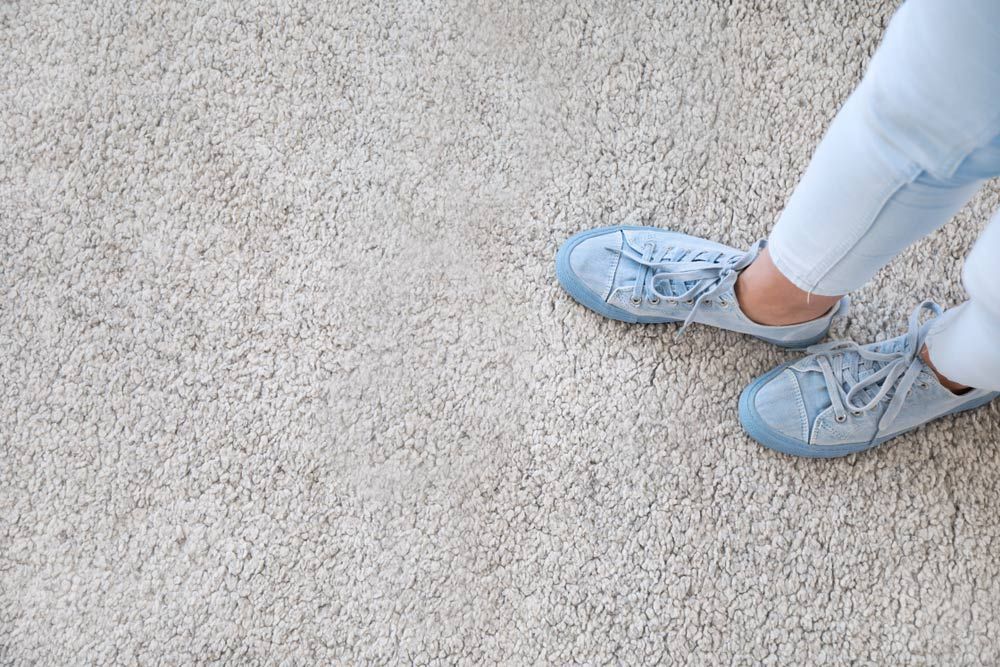 A Person Wearing Blue Sneakers is Standing on a Carpet — Floor Zone Gympie In Gympie, QLD
