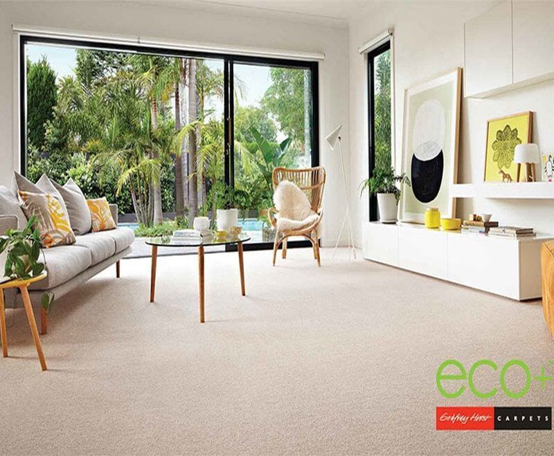A Carpeted Living Room — Floor Zone Gympie In Gympie, QLD