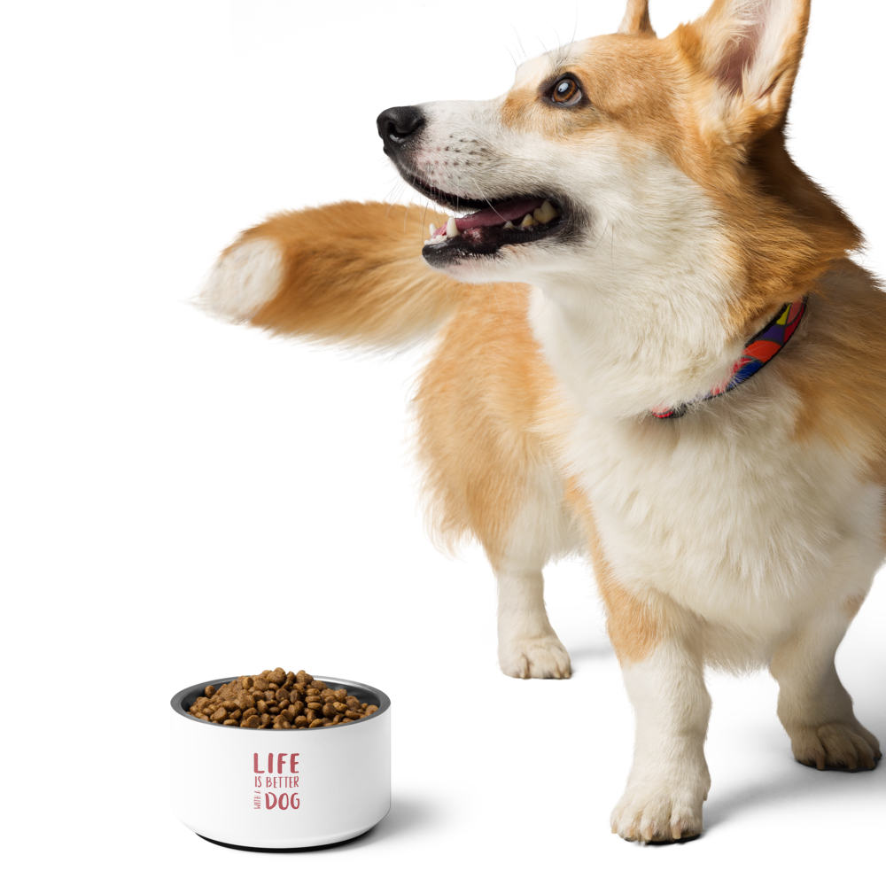 Life is Better Pet Bowl