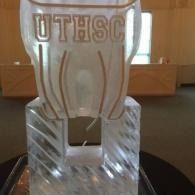 Clear trophy with “UTHSC” lettering on a table indoors
