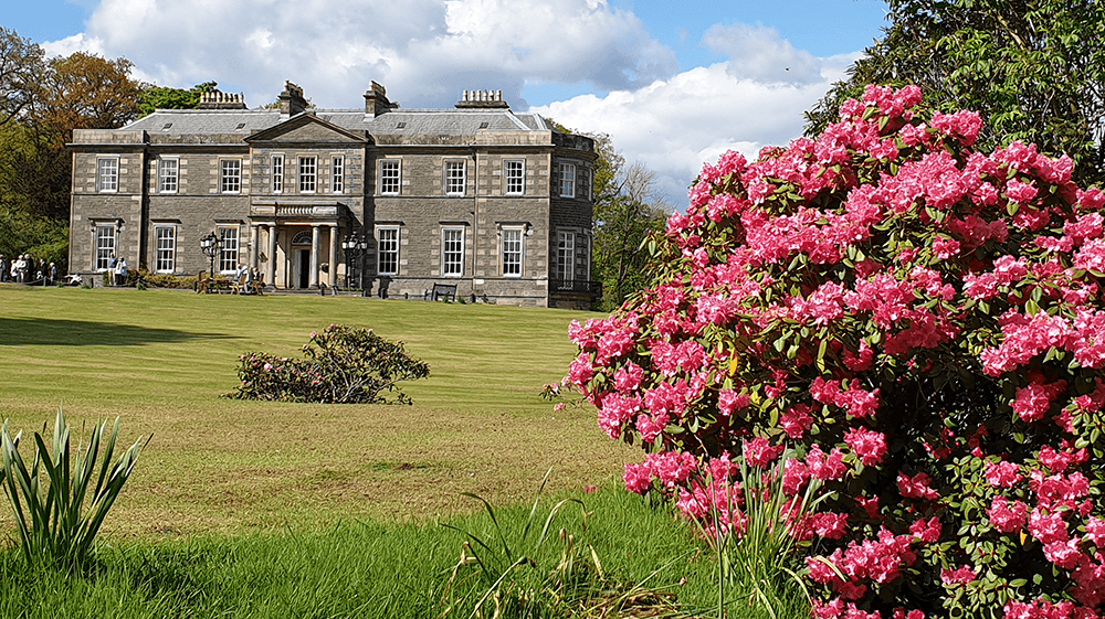 beautiful image of a mansion with flowers in the garden