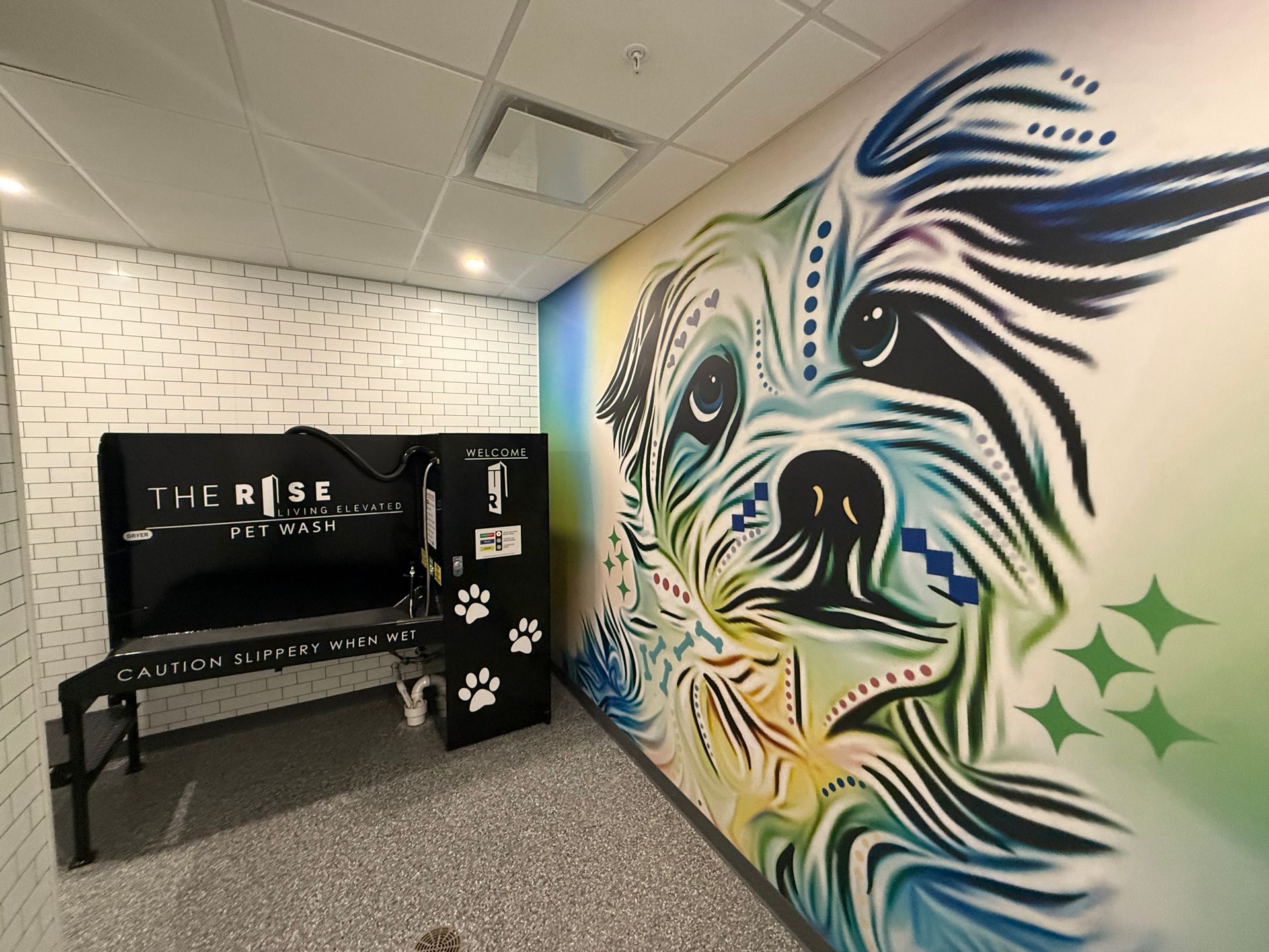 Dog wash station with a colorful mural of a dog on the wall, black bench, paw print details.