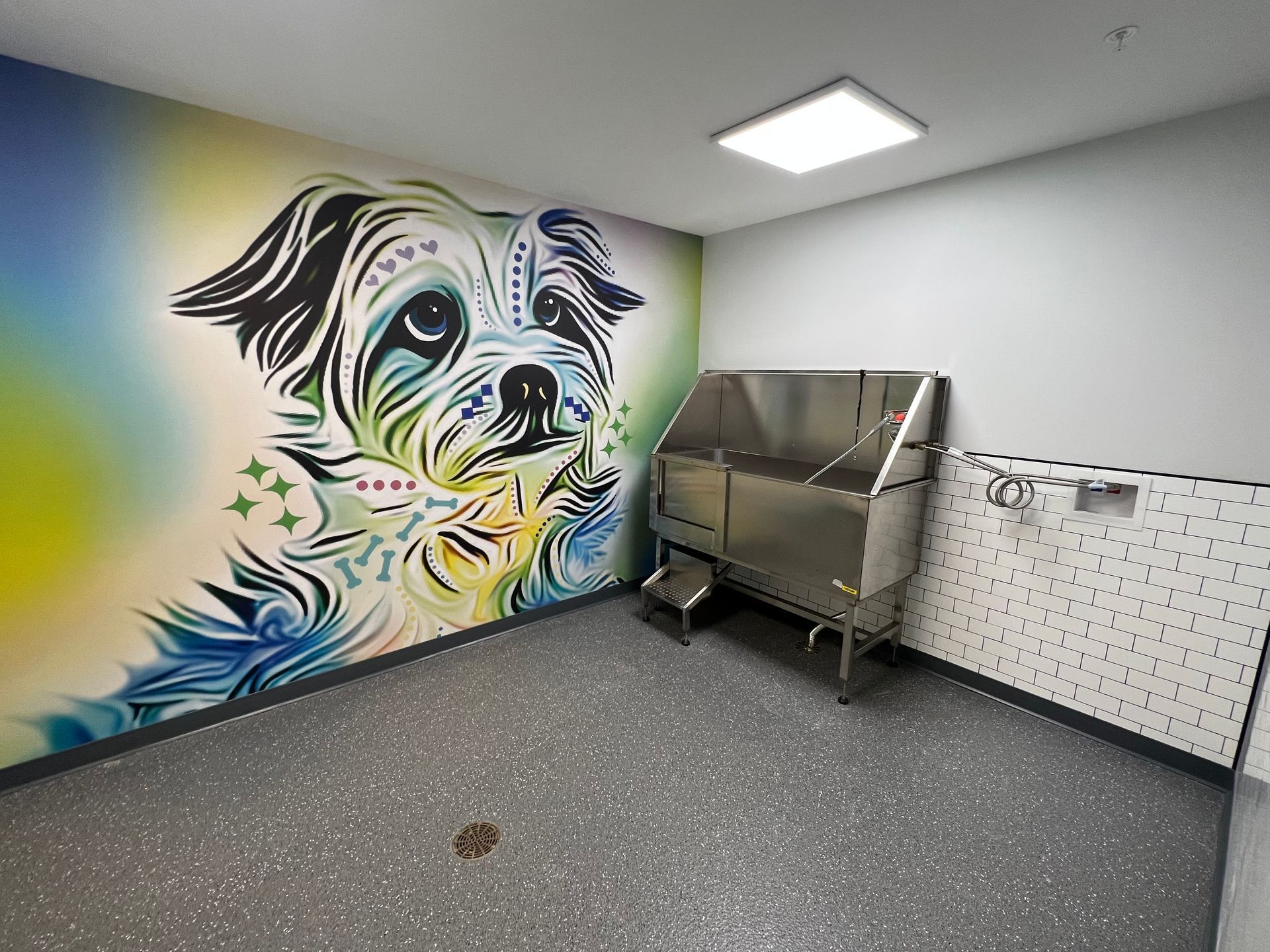 Dog wash room with large colorful mural of a dog's face, stainless steel tub, and gray speckled floor.