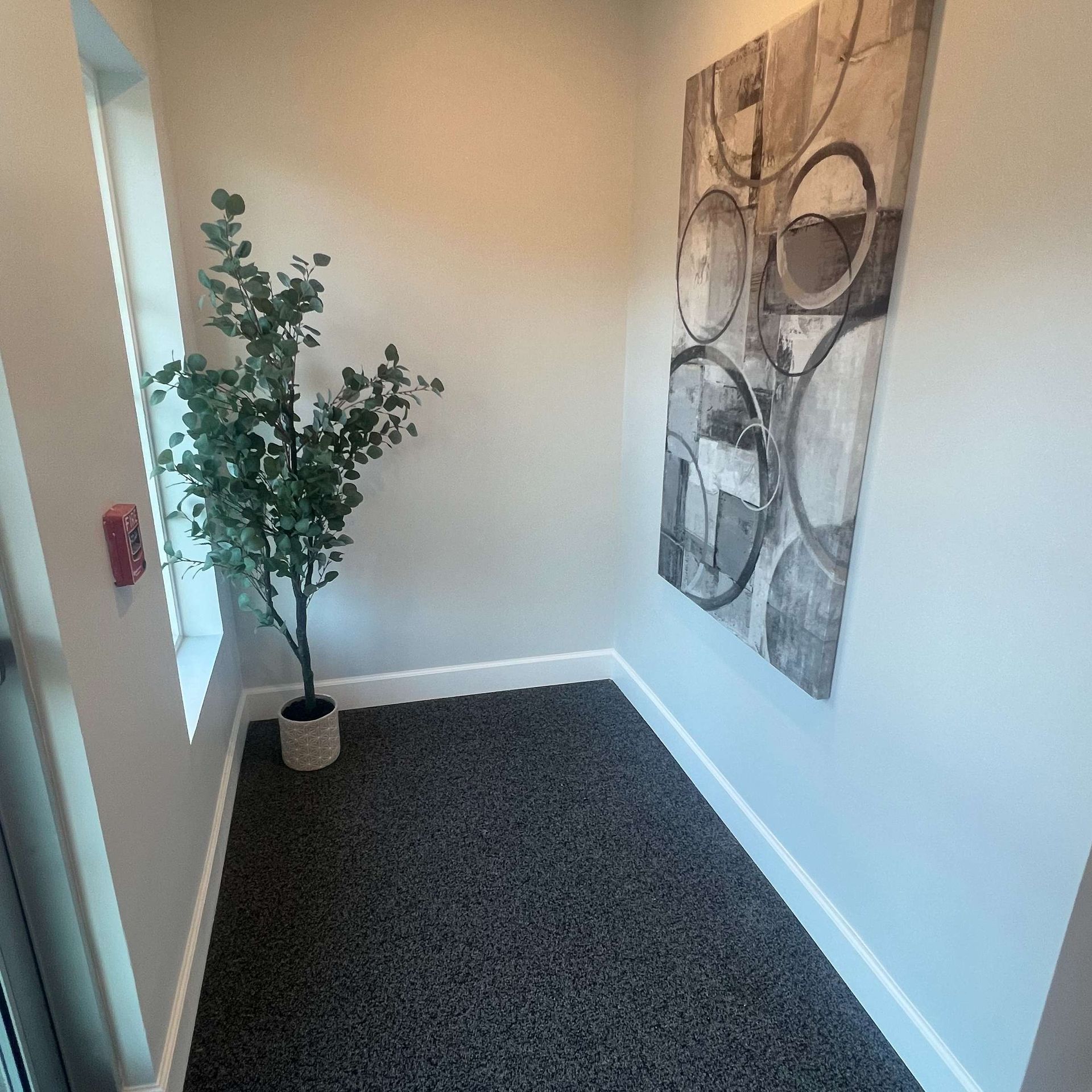 Narrow hallway with gray carpet, a potted tree, artwork, and a window.