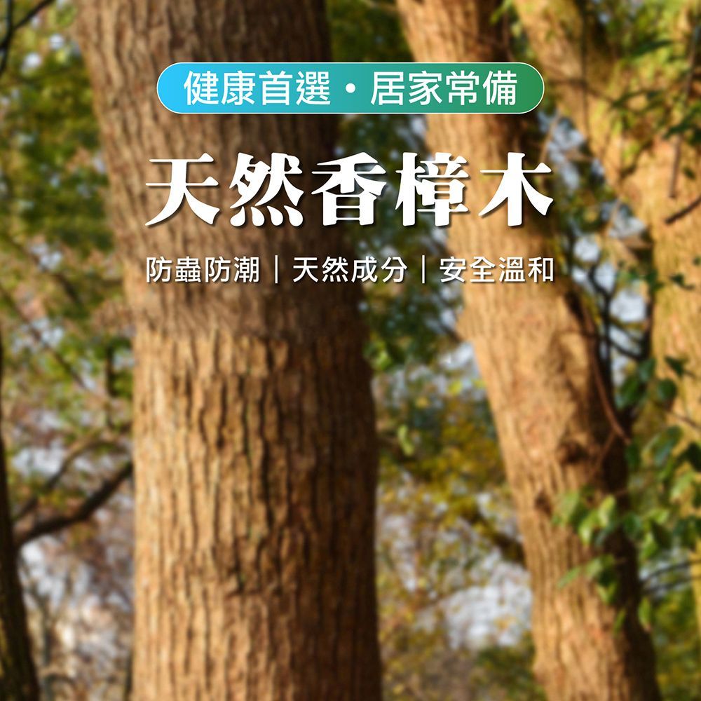【天然香樟木系列】香薰木球 香樟木條 天然樟木 防蚊驅蟲 天然樟木球 防臭 防霉 去除異味【DO362】