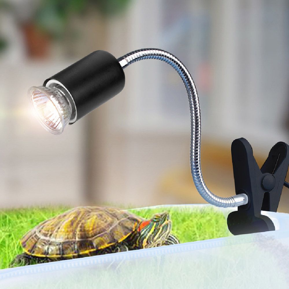 (燈夾【調光款】+燈泡50W(一顆))【三種瓦數自然擬光】加熱燈 燈 保溫燈 25W 50W 曬背燈 寵物 燈泡 燈夾 烏龜燈 寵物燈 爬蟲燈 烏龜曬背燈【DO385】
