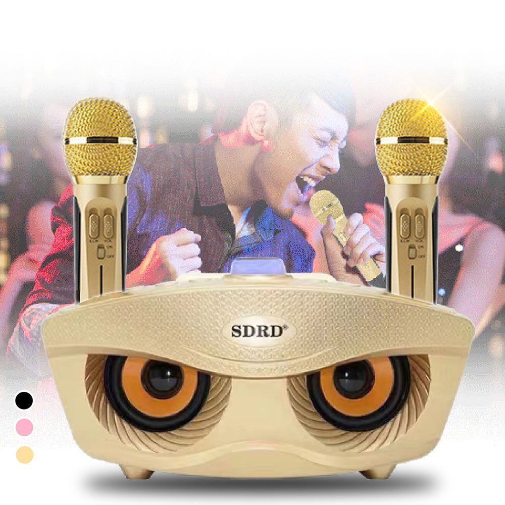 (土豪金)充電式雙人行動KTV!【貓頭鷹麥克風音響】貓頭鷹SDRD 行動KTV 無線藍芽麥克風 貓頭鷹音箱家庭 卡拉OK 露營唱歌【DE985】
