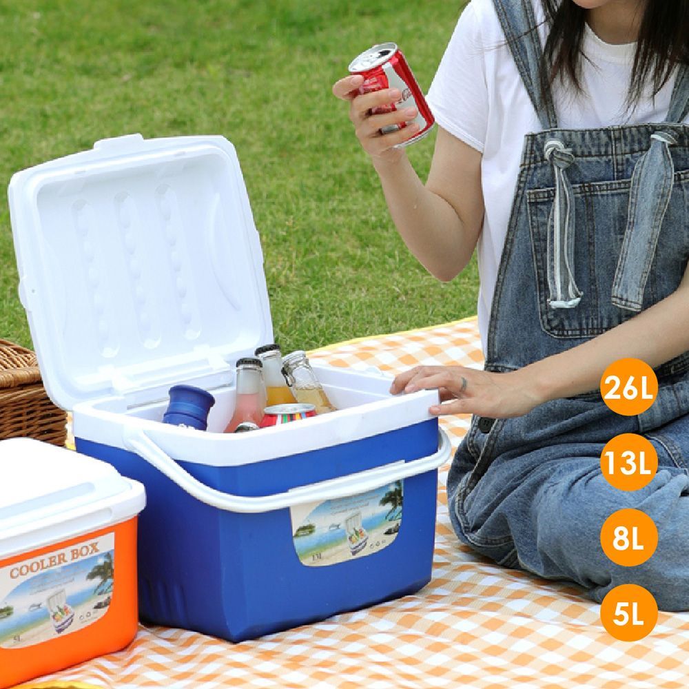 (保冰箱【8L】)送注水袋15個！【保冰箱】戶外保溫保冷箱 露營冰箱冰箱 冰桶 保冰箱 釣魚箱 保冷箱 保溫冰箱 移動式冰箱 冷藏【DE817】