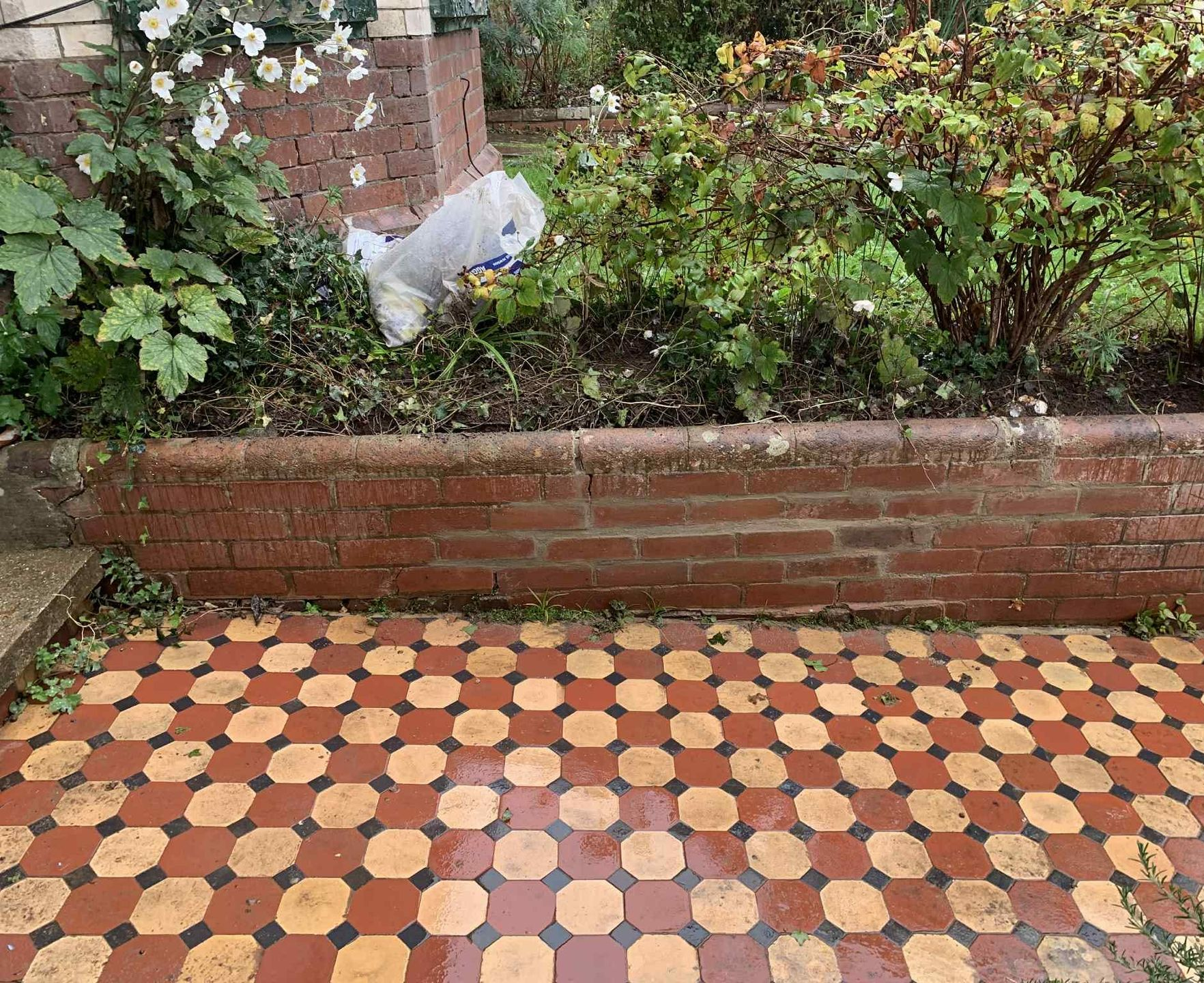 Red brick wall and tiled ground; flowers and shrubbery in the background.