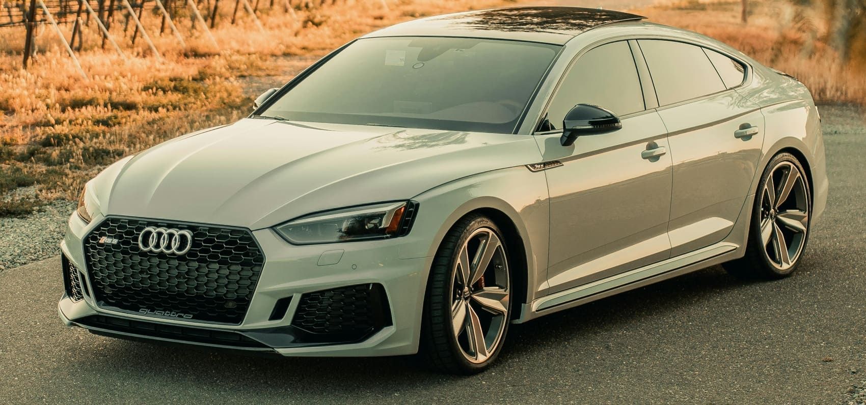 premium window tint Tennessee