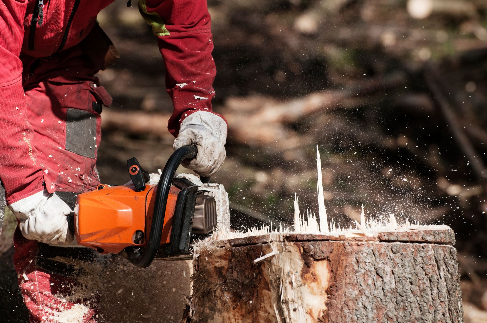 Person in Red Overalls Using an Orange Chainsaw to Cut a Tree — All One Arb Tree Service In Port Macquarie, NSW
