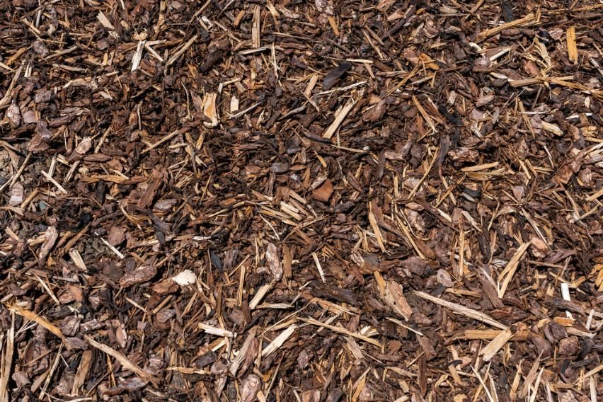 Brown Mulch on The Ground — All One Arb Tree Service In Bonny Hills, NSW