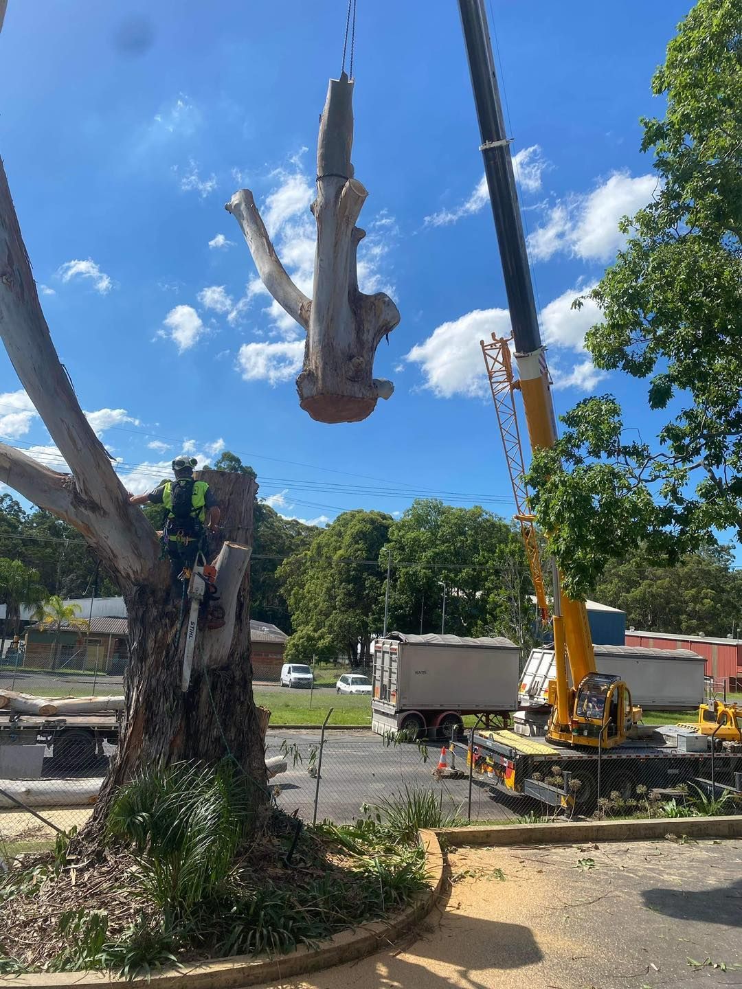A Man Is Cutting Down a Tree in Front of A House — All One Arb Tree Service In Bonny Hills, NSW